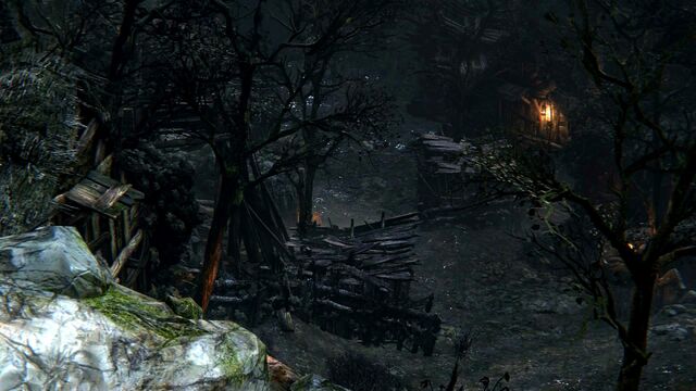 File:Bloodborne™ 20150624125510.jpg