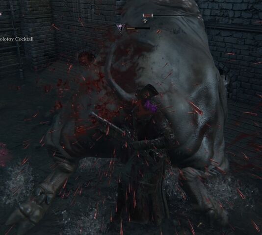 File:Image-bloodborne-screen-69c.jpg