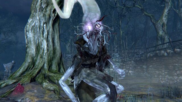 File:Bloodborne™ 20151014084814.jpg