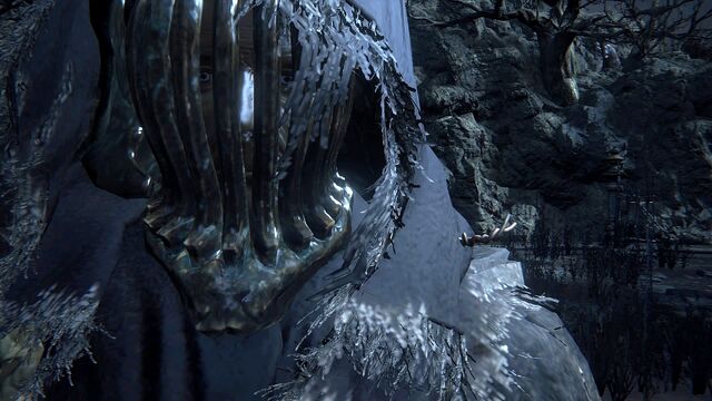 File:Bloodborne™ 20151014150658.jpg