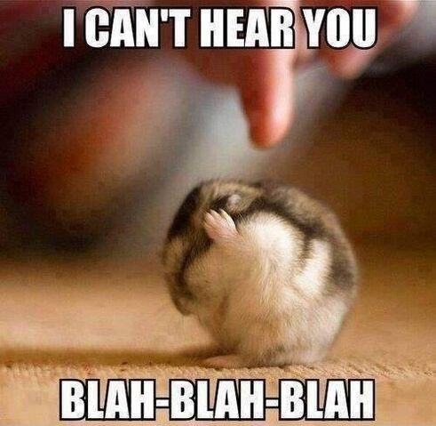 File:Bla bla bla.jpg