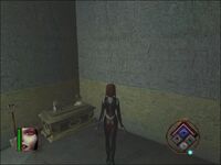 BloodRayne-Ark of the Covenant