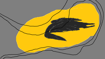 Trapped Bird
