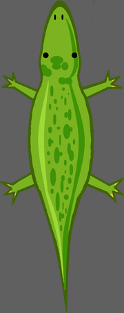 Hungry Croc