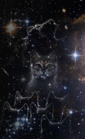 File:StarryCats.jpg
