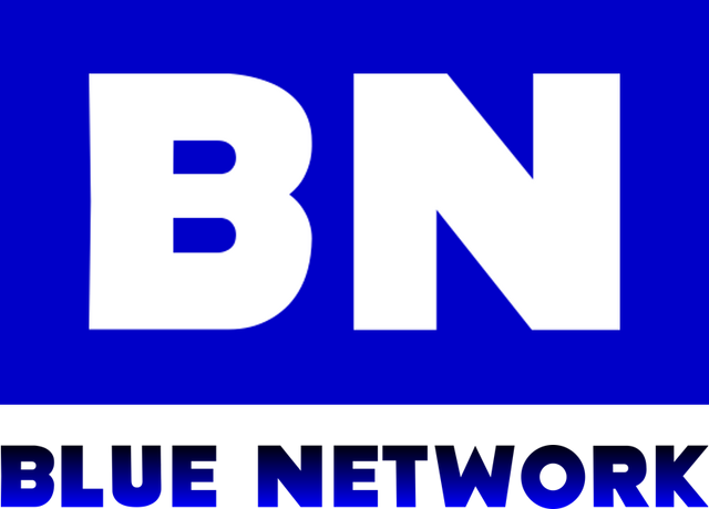 File:Blue Network Logo.png
