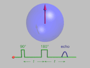 T2Echo spin