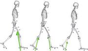 Biomechanics