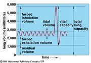 Vital capacity
