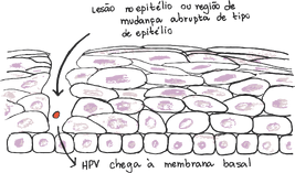 Entrada virus 1.png