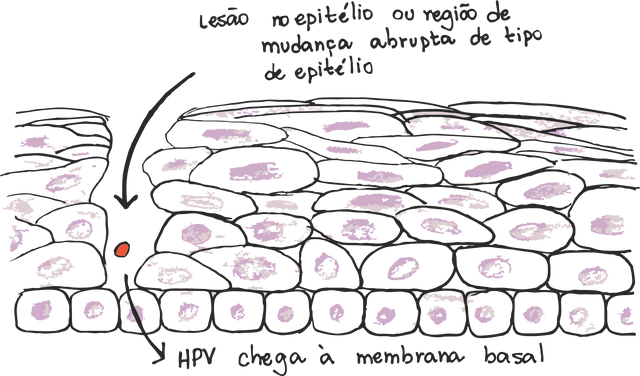 Arquivo:Entrada virus 1.png