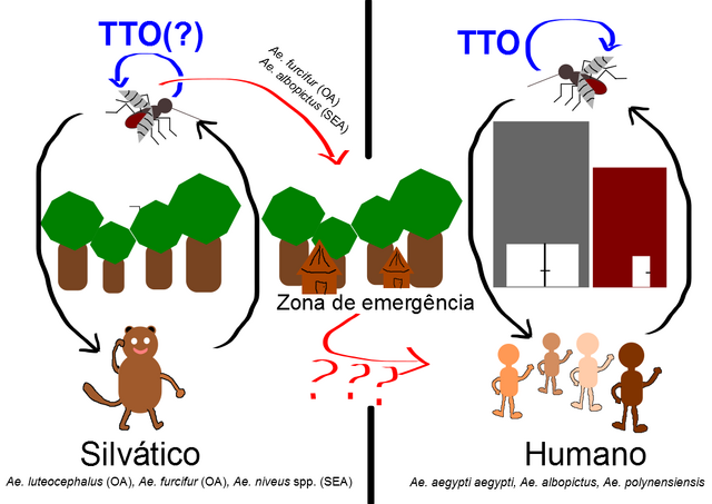Arquivo:Sylvatic.png