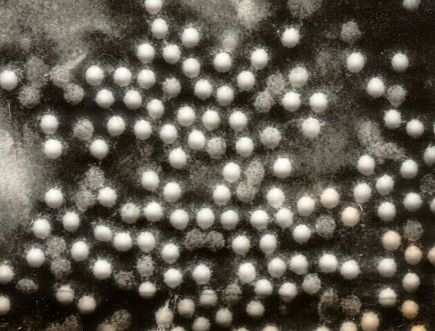 Arquivo:Polioviruses.jpg