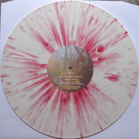File:Bmsr dg vinyl 2.jpg