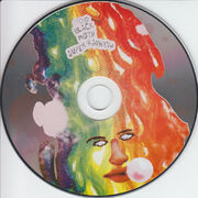 Bmsr dg disc