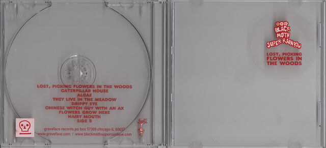 File:Bmsr lpfitw cd front.jpg