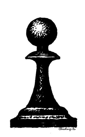 Файл:Shahmatnaja-peshka-figura.jpg