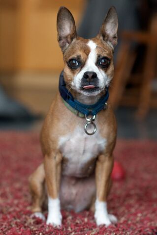 File:Maeby11.jpg