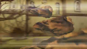 Vlcsnap-2014-04-17-16h33m49s243