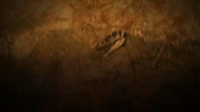File:Vlcsnap-2012-05-08-10h08m56s99.png