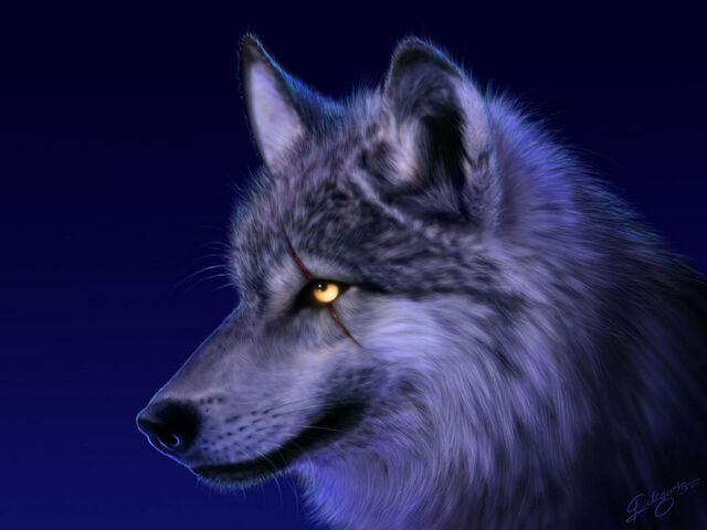 File:Canrus.jpg