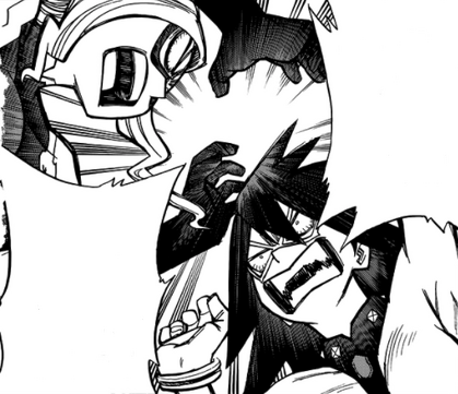 File:Cat fight.png