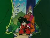 Goku protegeix Nam