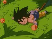 Goku marxa amb Sheron