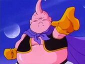 Buu bo.jpg