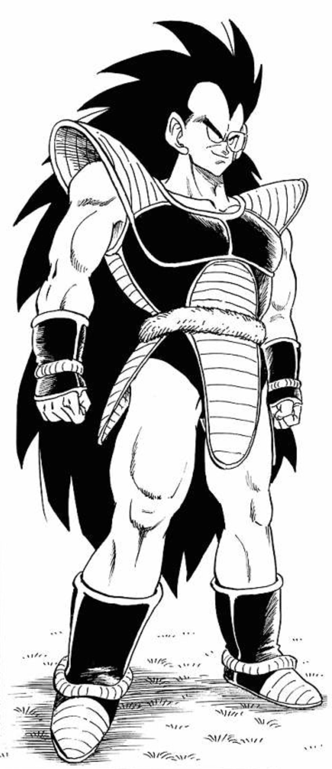 Raditz Bola de Drac Wiki Raditz