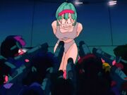 Bulma capturada.jpg