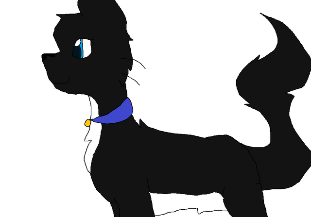 File:Shillouette 1.png