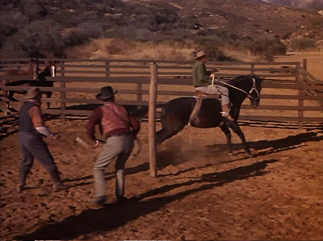 File:031 - The Hayburner.png