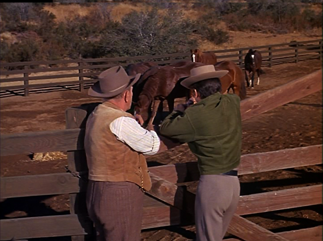 File:028 - The Hayburner.png