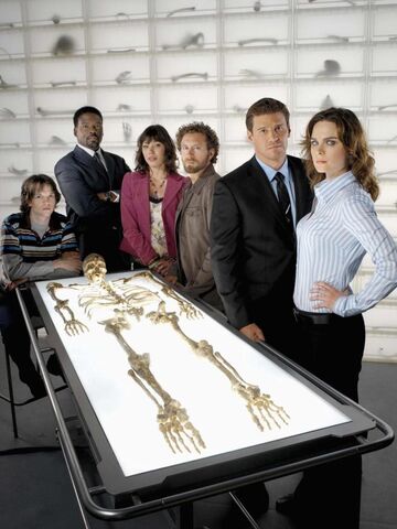 Файл:Bones1s.jpg