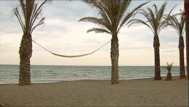 File:012.jpg