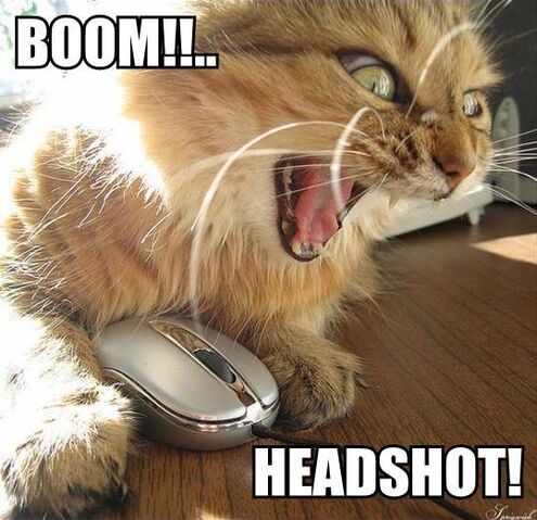 File:Boomheadshot.jpg