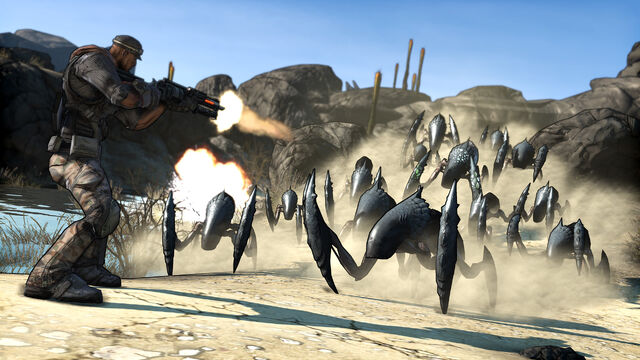 File:Borderlands-Spiderant.jpg