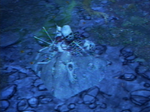 Bone pile