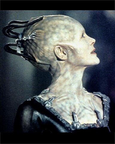File:Borg-queenside.jpg