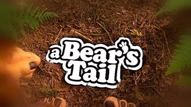 File:A bears tail titles.jpg