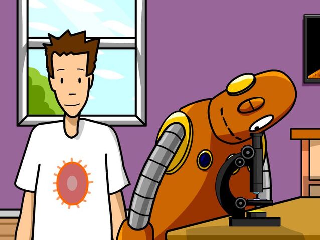 File:Bacteria.jpg