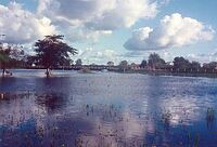 Pantanal Mato-grossense.jpg