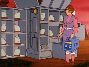 Astro-Chick shelter
