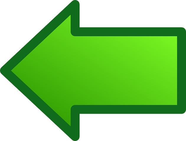 File:Back.png