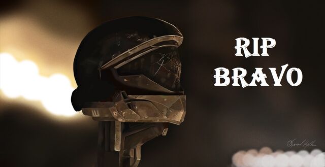 File:RIP Bravo.jpg