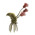 Thumbnail for version as of 21:34, October 19, 2015
