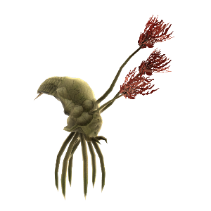 File:Flood Infection Form.png