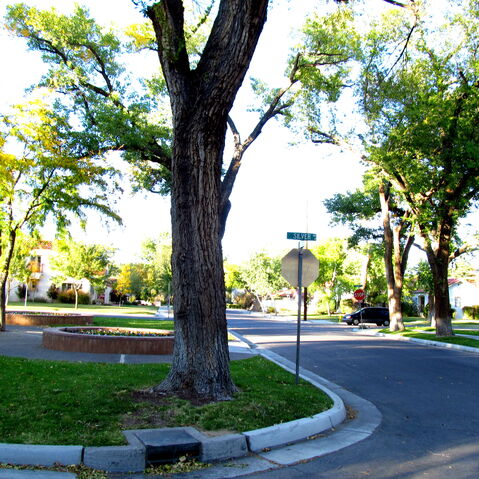 File:IMG 0112ed.jpg