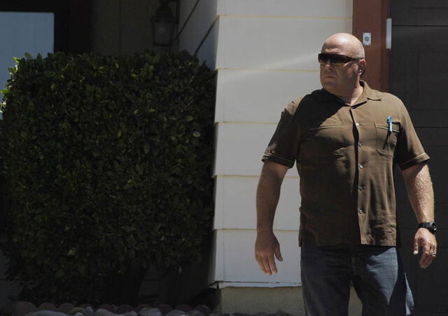 File:Episode-1-Hank-760.jpg